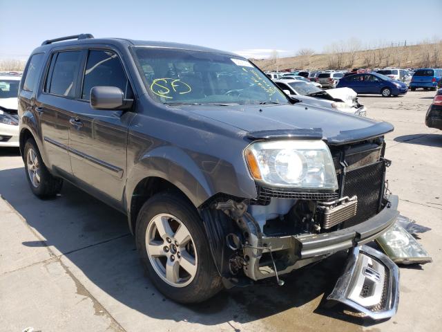 HONDA PILOT EXL 2011 5fnyf4h52bb026726