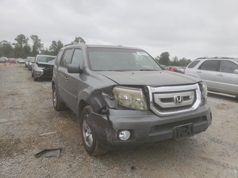 HONDA PILOT EXL 2011 5fnyf4h52bb036351