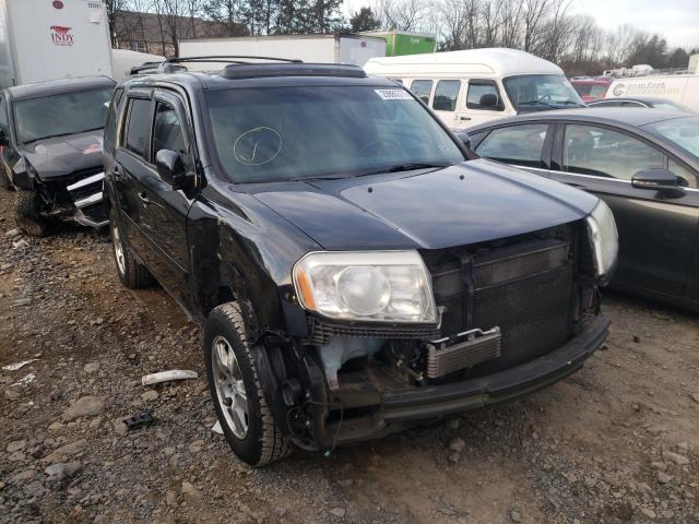 HONDA PILOT EXL 2011 5fnyf4h52bb040013