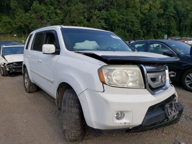 HONDA PILOT EXL 2011 5fnyf4h52bb062254