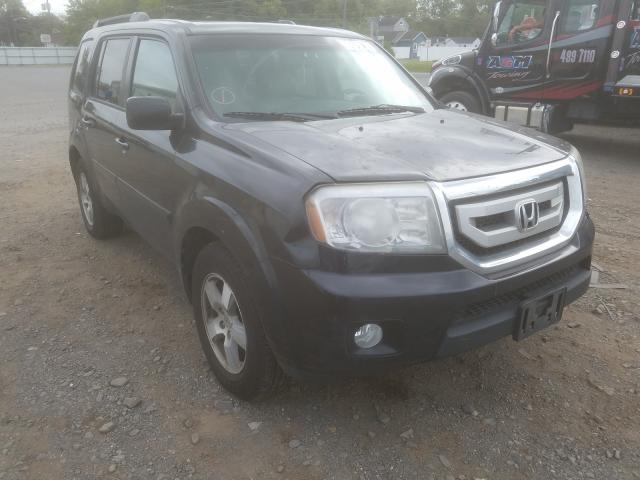 HONDA PILOT EXL 2011 5fnyf4h52bb073741