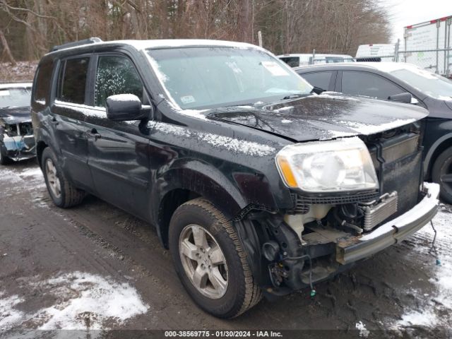 HONDA PILOT 2011 5fnyf4h52bb077742