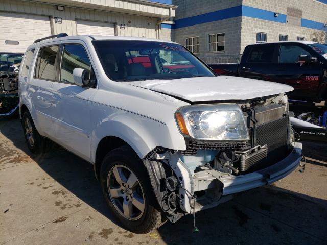 HONDA PILOT EXL 2011 5fnyf4h52bb085551