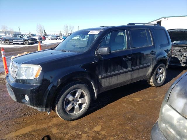 HONDA PILOT 2011 5fnyf4h52bb502165