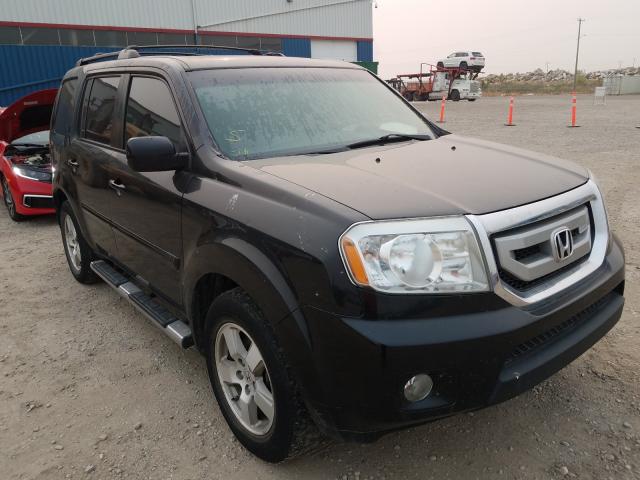 HONDA PILOT EXL 2011 5fnyf4h52bb504028