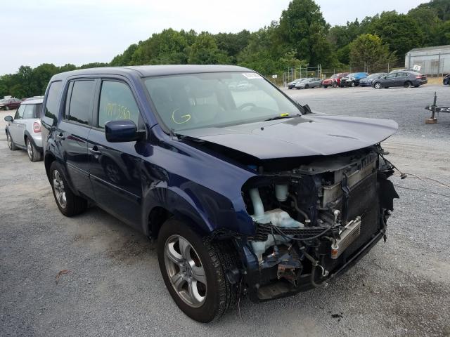 HONDA PILOT EXL 2013 5fnyf4h52db045778