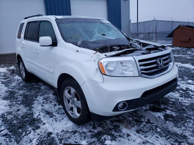 HONDA PILOT EXL 2014 5fnyf4h52eb501439