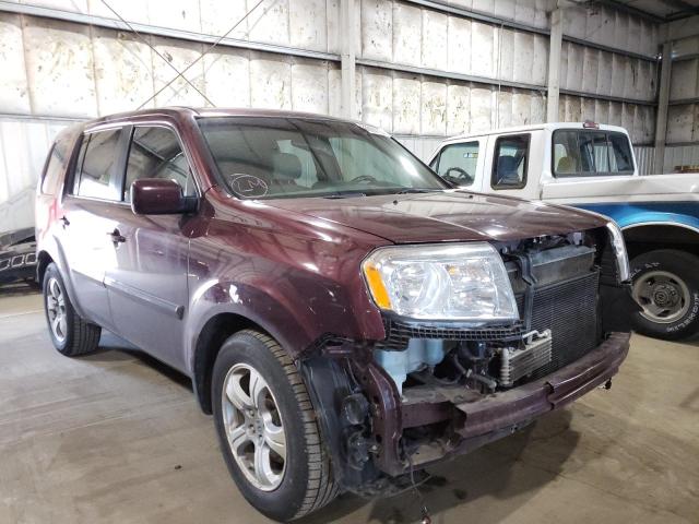 HONDA PILOT EXL 2015 5fnyf4h52fb049199