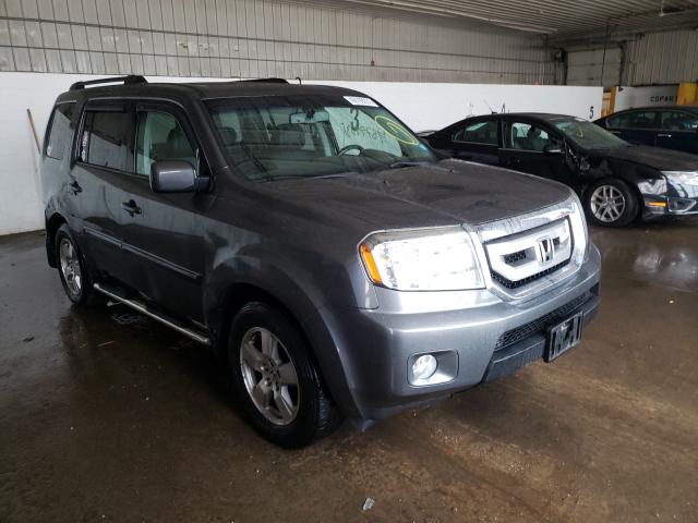 HONDA PILOT EXL 2010 5fnyf4h53ab008556