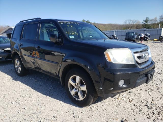 HONDA PILOT EXL 2010 5fnyf4h53ab019766