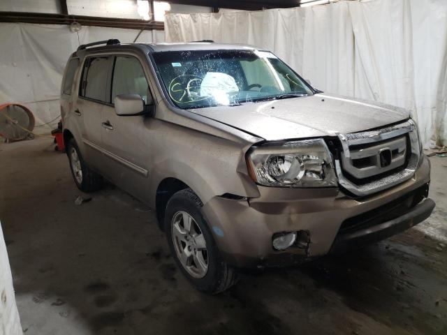 HONDA PILOT EXL 2010 5fnyf4h53ab023672