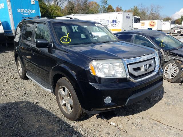 HONDA PILOT EXL 2010 5fnyf4h53ab027317