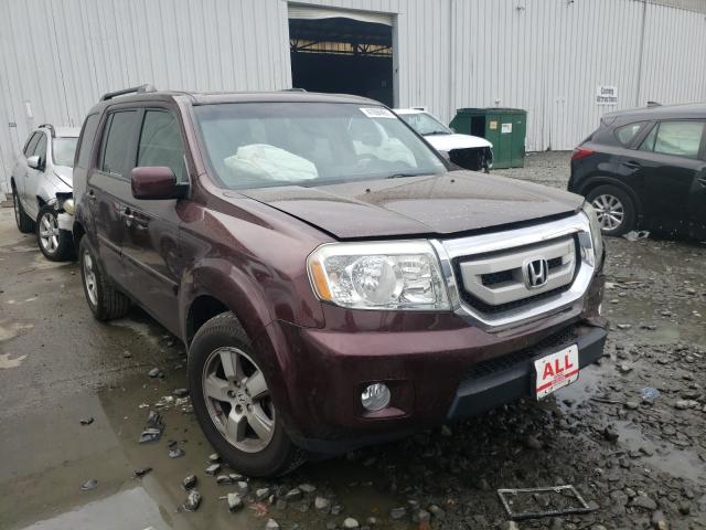 HONDA PILOT EXL 2010 5fnyf4h53ab027530