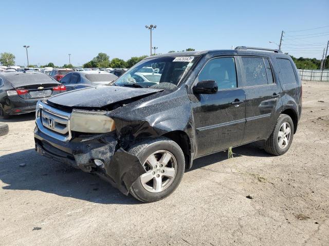 HONDA PILOT EXL 2010 5fnyf4h53ab029536