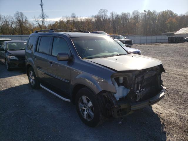 HONDA PILOT EXL 2010 5fnyf4h53ab035515