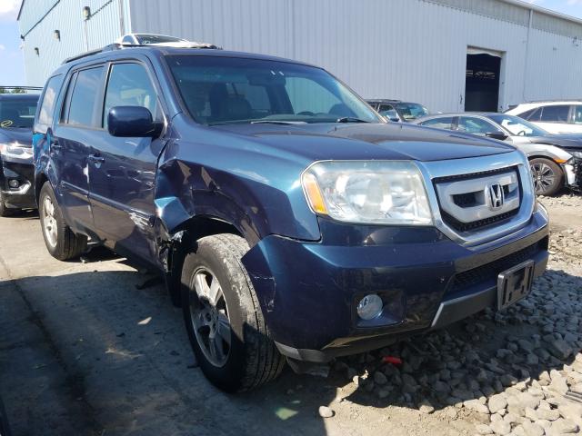 HONDA PILOT EXL 2010 5fnyf4h53ab036597