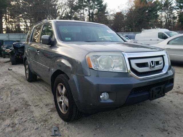 HONDA PILOT EXL 2010 5fnyf4h53ab038933