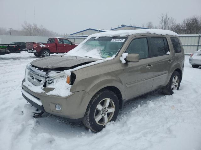 HONDA PILOT EXL 2010 5fnyf4h53ab039581