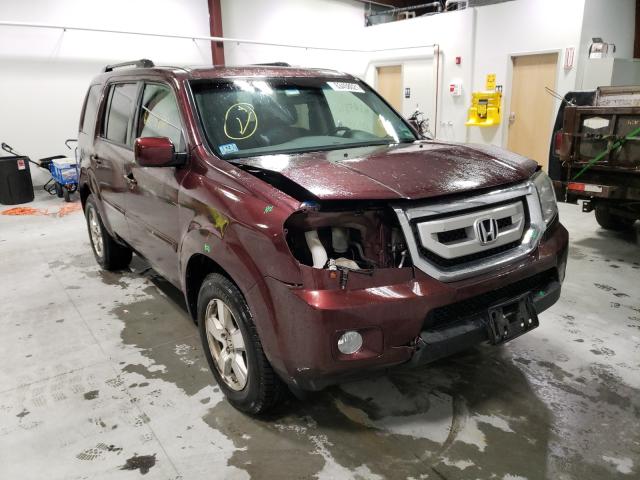 HONDA PILOT EX 2011 5fnyf4h53bb004346