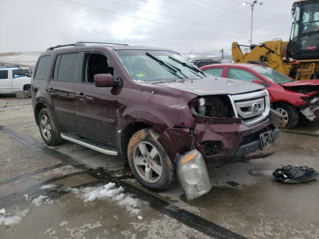 HONDA PILOT EXL 2011 5fnyf4h53bb004590