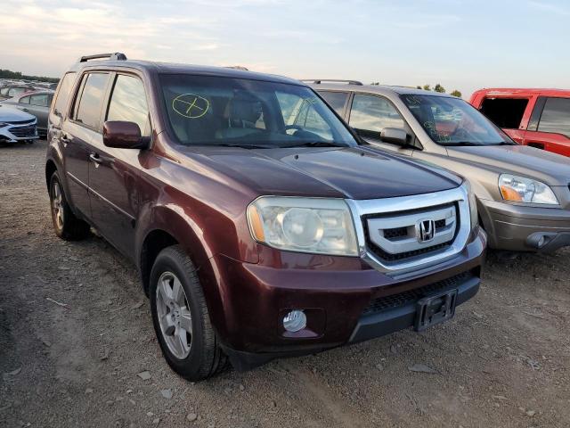 HONDA PILOT EXL 2011 5fnyf4h53bb028355