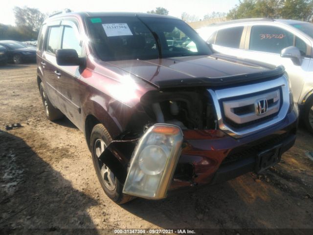 HONDA PILOT 2011 5fnyf4h53bb030574