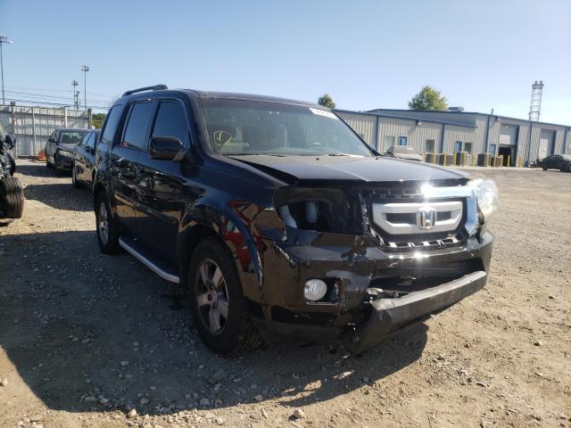 HONDA PILOT EXL 2011 5fnyf4h53bb034043