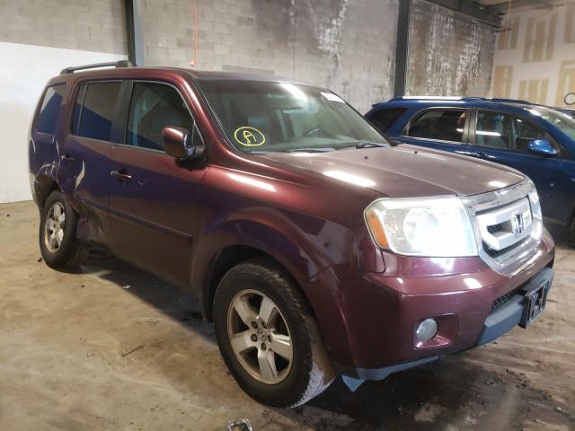 HONDA PILOT EXL 2011 5fnyf4h53bb060786