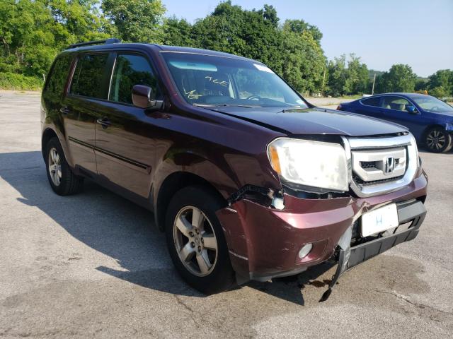 HONDA PILOT EXL 2011 5fnyf4h53bb076244