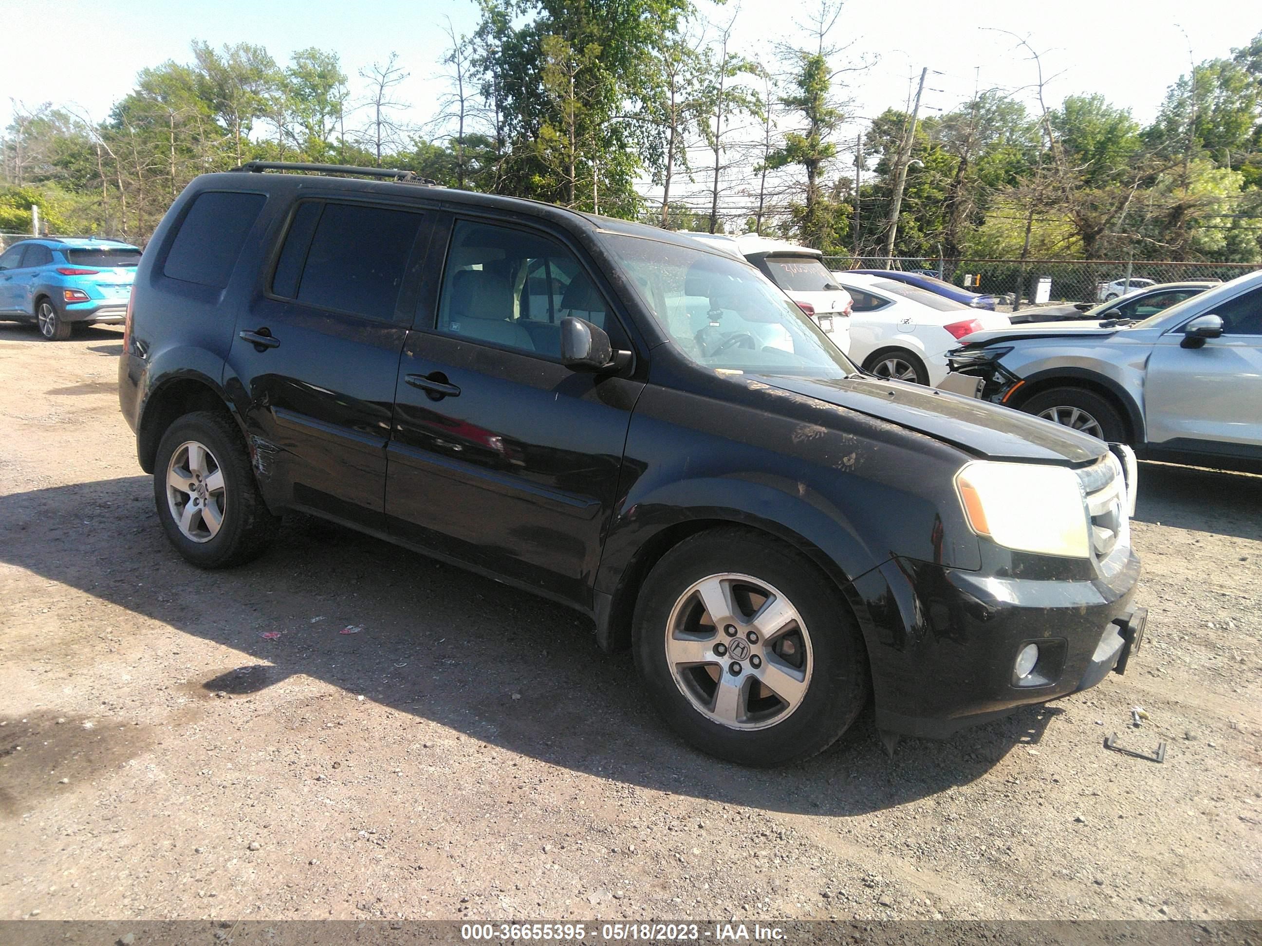 HONDA PILOT 2011 5fnyf4h53bb077717