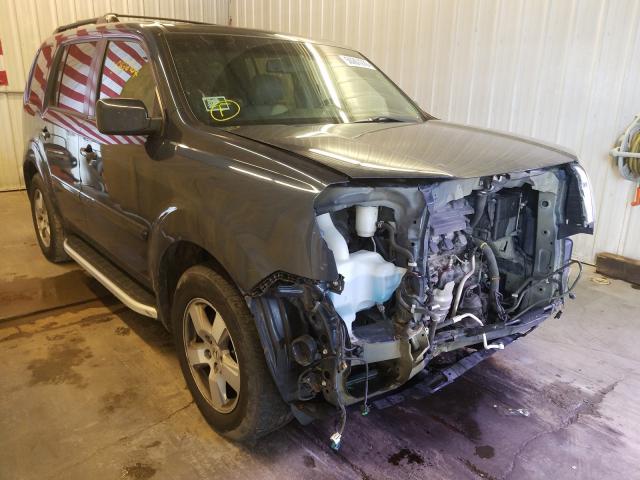 HONDA PILOT EXL 2011 5fnyf4h53bb090001