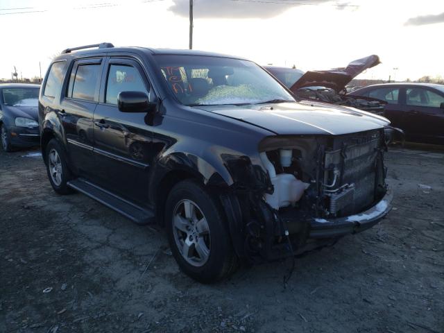 HONDA PILOT EXL 2011 5fnyf4h53bb106469