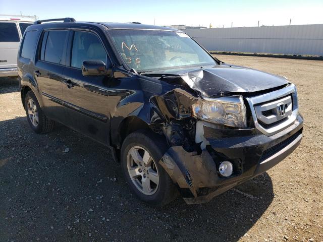 HONDA PILOT EXL 2011 5fnyf4h53bb506211