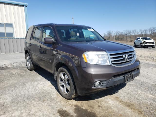 HONDA PILOT EXL 2013 5fnyf4h53db028763