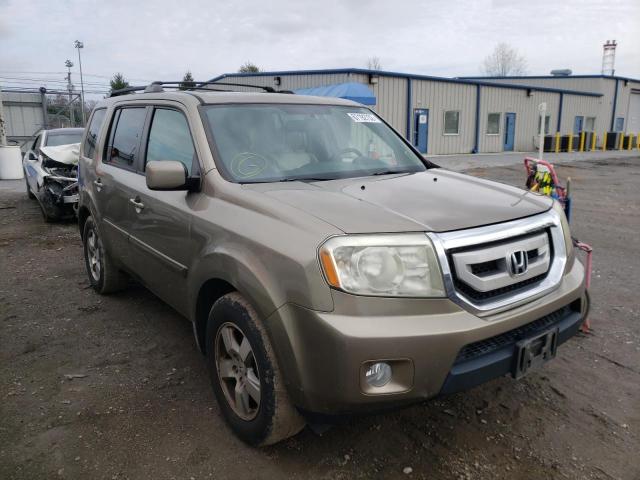 HONDA PILOT EXL 2010 5fnyf4h54ab001129