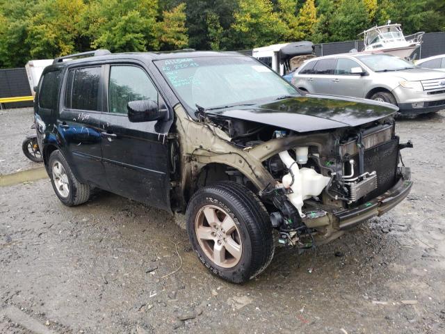 HONDA PILOT EXL 2010 5fnyf4h54ab005309