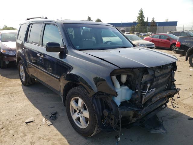 HONDA PILOT EXL 2010 5fnyf4h54ab011546