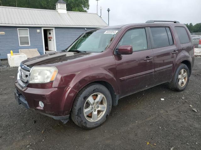 HONDA PILOT EXL 2010 5fnyf4h54ab020621