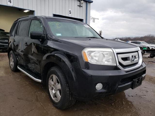 HONDA PILOT EXL 2010 5fnyf4h54ab023227