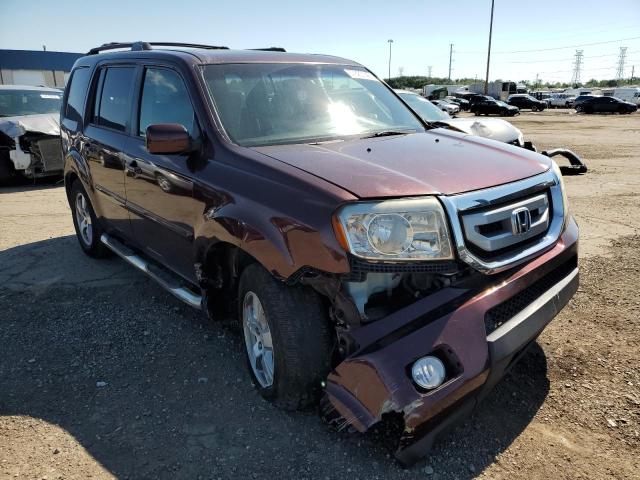 HONDA PILOT EXL 2010 5fnyf4h54ab023650