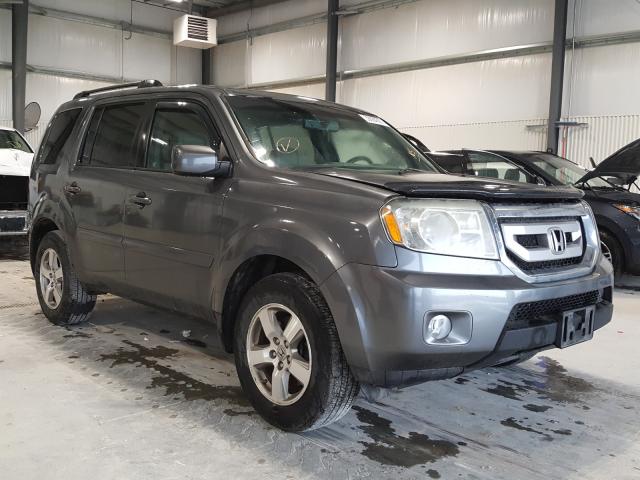 HONDA PILOT EXL 2010 5fnyf4h54ab024880