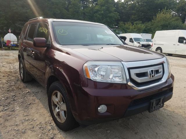 HONDA PILOT EXL 2010 5fnyf4h54ab027522