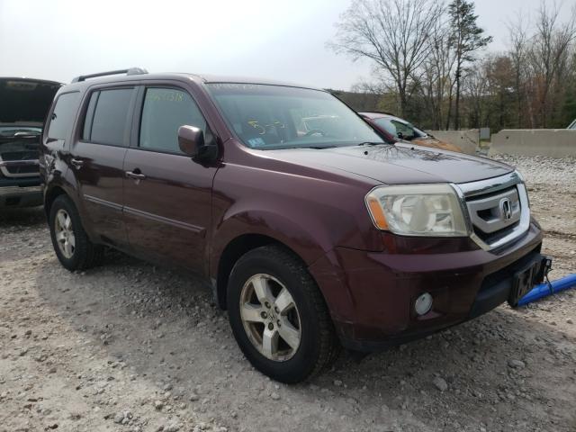 HONDA PILOT EXL 2010 5fnyf4h54ab028508