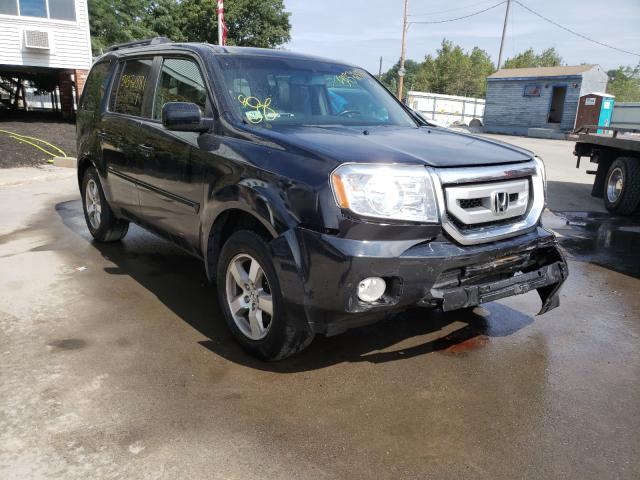 HONDA PILOT EXL 2010 5fnyf4h54ab034602