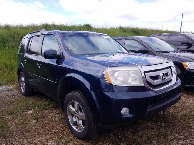 HONDA PILOT EXL 2010 5fnyf4h54ab502120