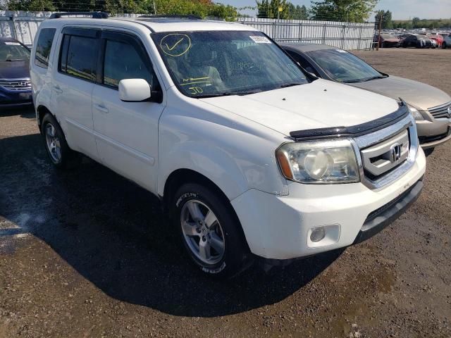 HONDA PILOT EXL 2010 5fnyf4h54ab503686