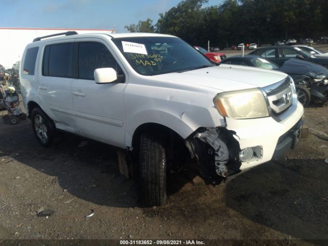 HONDA PILOT 2011 5fnyf4h54bb010060