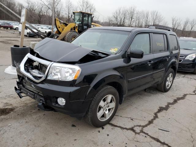 HONDA PILOT EXL 2011 5fnyf4h54bb025061