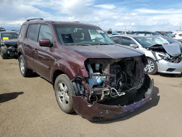 HONDA PILOT EXL 2011 5fnyf4h54bb028350