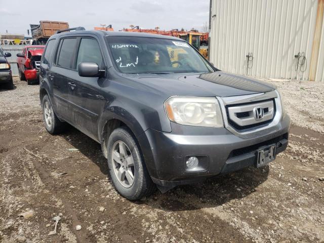 HONDA PILOT EXL 2011 5fnyf4h54bb034018